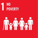 SDG 1 No Poverty